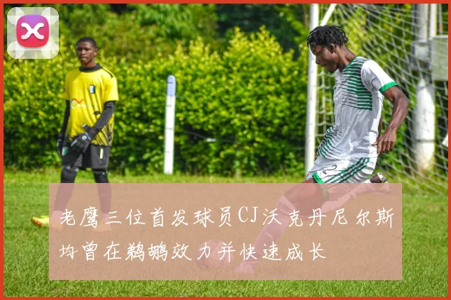 老鹰三位首发球员CJ沃克丹尼尔斯均曾在鹈鹕效力并快速成长