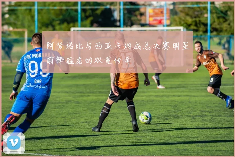 阿努诺比与西亚卡姆成总决赛明星前锋猛龙的双重传奇